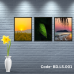 Penta 9x13 Inch BD.LS.001 Nature Photography Wall Picture Frame Bundle