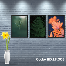 Penta 9x13 Inch BD.LS.005 Nature Photography Wall Picture Frame Bundle