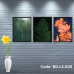 Penta 9x13 Inch BD.LS.005 Nature Photography Wall Picture Frame Bundle