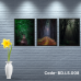 Penta 9x13 Inch BD.LS.008 Nature Photography Wall Picture Frame Bundle