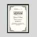 Penta 9x13 Inch MARR.XXX13 Marriage Certificate Wall Picture Frame